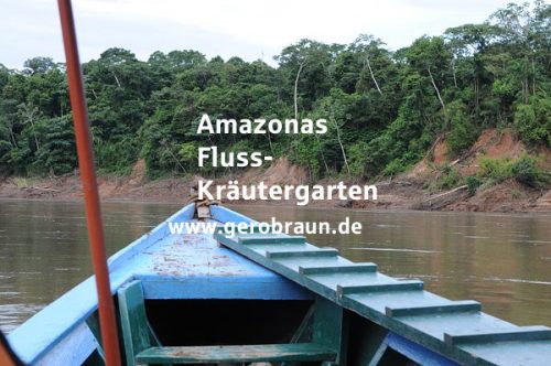 Amazonas Fluss Und Krautergarten Gerold Braun Bilder Einiges Mehr